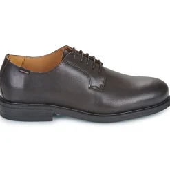 Carlington - CAVIL Marron Sale