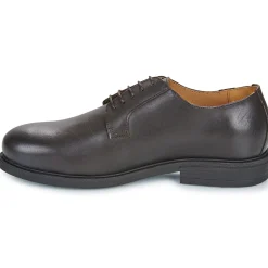 Carlington - CAVIL Marron Sale