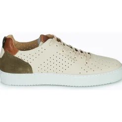 Carlington Baskets Mode^- FREDDI