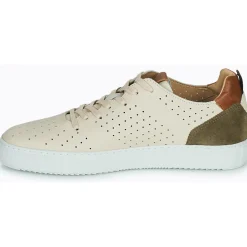 Carlington Baskets Mode^- FREDDI