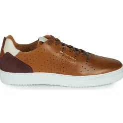Carlington - FREDDI< Baskets Mode