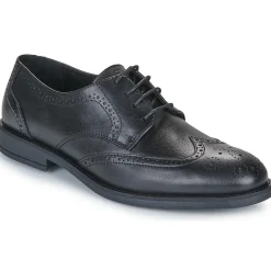 Carlington - LOUVIAN< Derbies & Richelieu