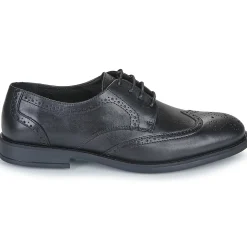 Carlington - LOUVIAN< Derbies & Richelieu