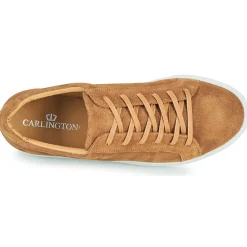 Carlington - SERIAL< Baskets Mode