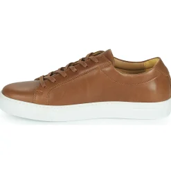 Carlington - SERIAL Marron