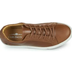 Carlington - SERIAL Marron