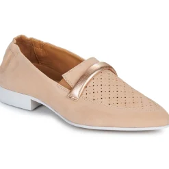 Casta - QANVA Camel Discount