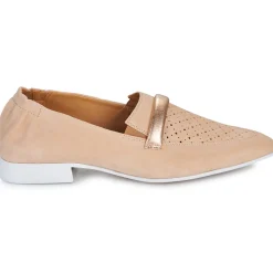 Casta - QANVA Camel Discount