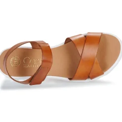 Casual Attitude - BELDOU Marron Sale
