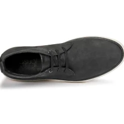 Casual Attitude - OLEO Noir Online