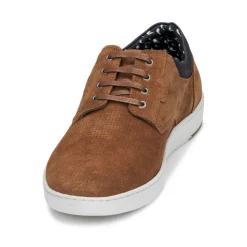 Casual Attitude - OZON Camel Hot