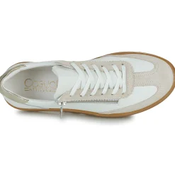 Casual Attitude - TILANA New