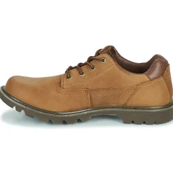 Caterpillar Derbies & Richelieu^- COLORADO LOW 2.0 / SHOES