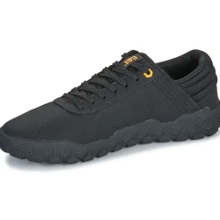Caterpillar - HEX + CANVAS Noir Clearance