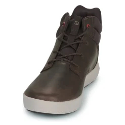 Caterpillar - PROXY HI< Baskets Mode
