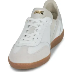 Caval - PULSE< Baskets Mode