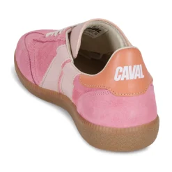 Caval Baskets Mode^- PULSE