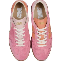 Caval Baskets Mode^- PULSE