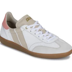 Caval - PULSE Outlet