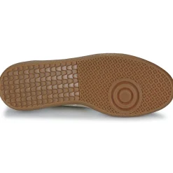 Caval - PULSE Outlet