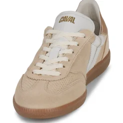 Caval Baskets Mode^- PULSE
