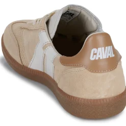 Caval Baskets Mode^- PULSE