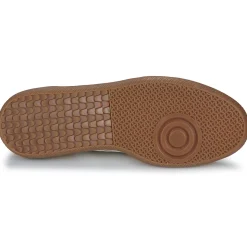 Caval Baskets Mode^- PULSE
