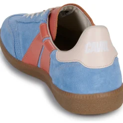 Caval Baskets Mode^- PULSE