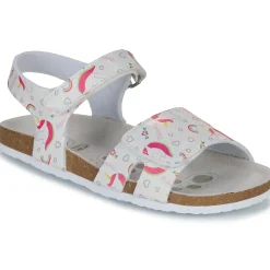 Chicco - FINDY Clearance