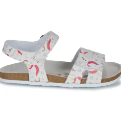 Chicco - FINDY Clearance