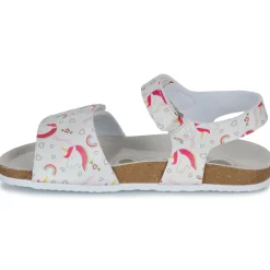 Chicco - FINDY Clearance