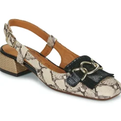 Chie Mihara - ILNA Python New
