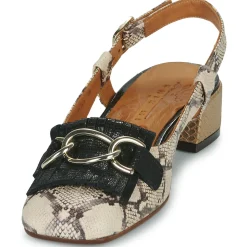 Chie Mihara - ILNA Python New