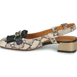 Chie Mihara - ILNA Python New
