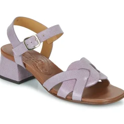 Chie Mihara - QUAURA Violet Outlet