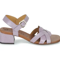 Chie Mihara - QUAURA Violet Outlet