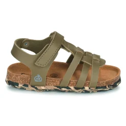 Citrouille et Compagnie - JANISOL Kaki Online