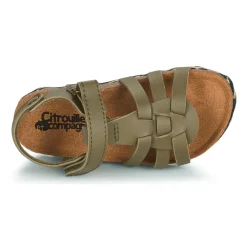 Citrouille et Compagnie - JANISOL Kaki Online