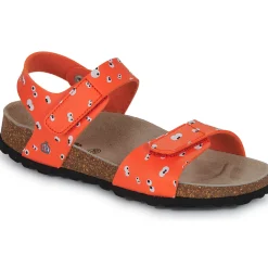 Citrouille et Compagnie Sandales Et Nu-pieds^- PISTAMI