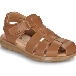 Citrouille et Compagnie - ZAPIDO Camel Hot