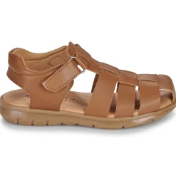 Citrouille et Compagnie - ZAPIDO Camel Hot