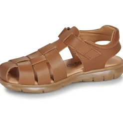 Citrouille et Compagnie - ZAPIDO Camel Hot