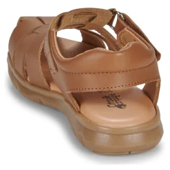 Citrouille et Compagnie - ZAPIDO Camel Hot