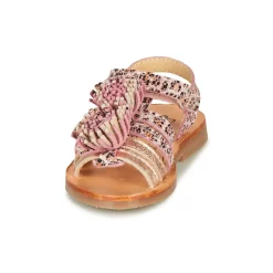 Citrouille et Compagnie - MARINAS Rose Best