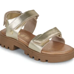 Citrouille et Compagnie - PIANA Gold New
