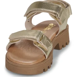 Citrouille et Compagnie - PIANA Gold New