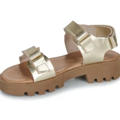 Citrouille et Compagnie - PIANA Gold New