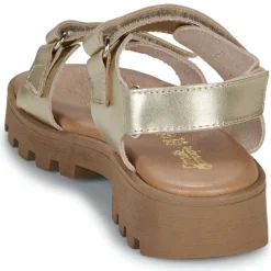 Citrouille et Compagnie - PIANA Gold New