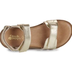 Citrouille et Compagnie - PIANA Gold New