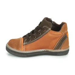 Citrouille et Compagnie - HARCO Camel Outlet